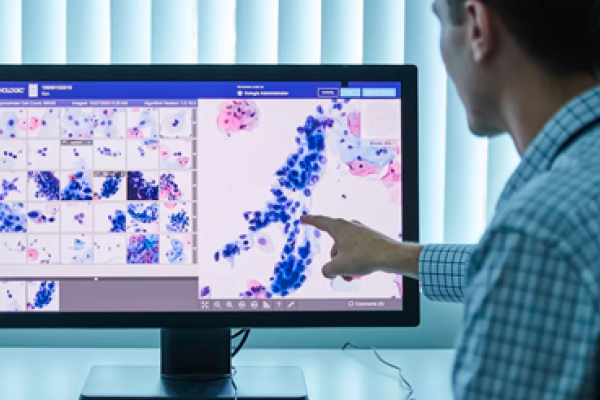 Gesundheitsdienstleister bei der Ansicht von Scan-Bildern auf dem Bildschirm