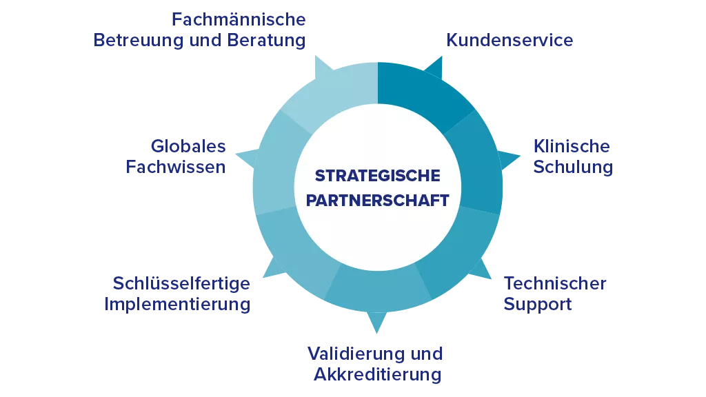Grafik eines Kreises mit unterteilten Punkten, die Schlüsselbegriffen zugeordnet sind