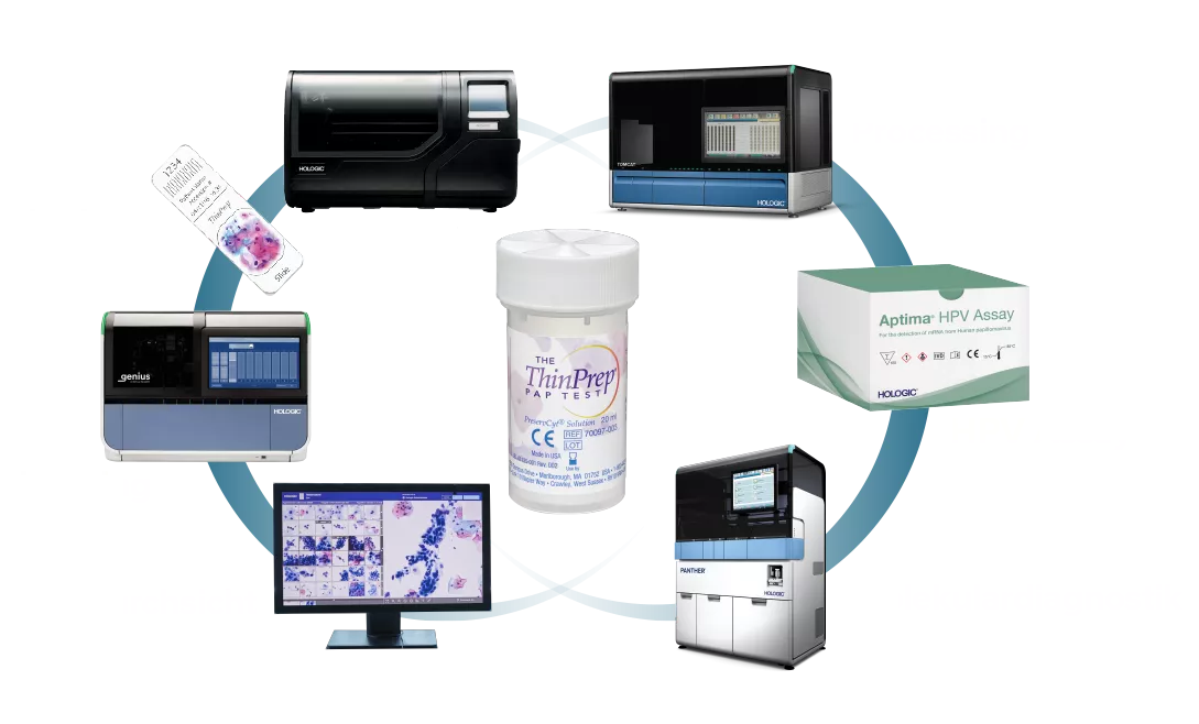 Grafik, die den Zusammenhang zwischen Hologic Produkten darstellt