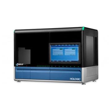 Tomcat auf weißem Hintergrund